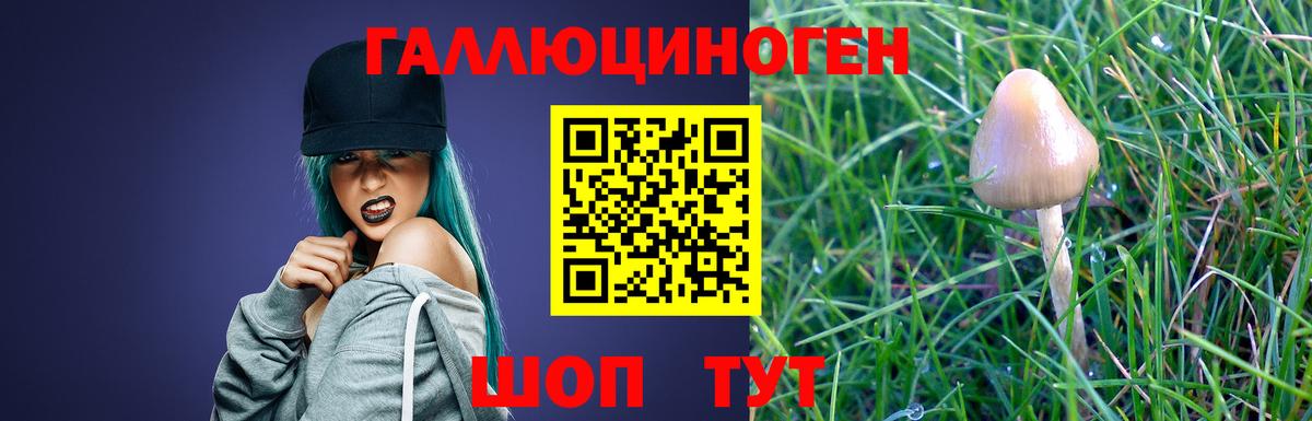 Нефтекумск  цены   Вход с VPN  Псилоцибиновые грибы Magic Shrooms 